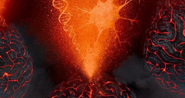 اگر حافظه‌ خوبی ندارید، ژن‌ها را سرزنش کنید!