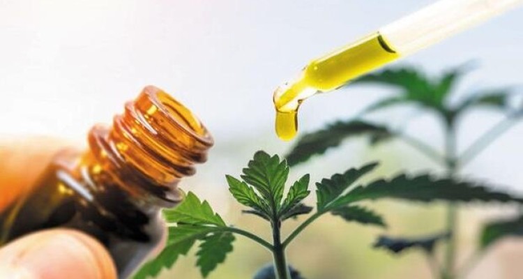 ۲ داروی گیاهی برای تسکین بیماران سرپایی کرونا مجوز گرفتند