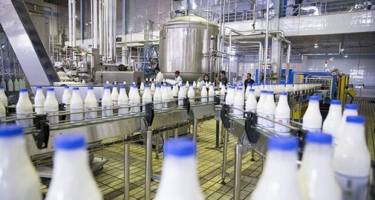 ایرانی ها سالانه چقدر مواد لبنی مصرف می کنند