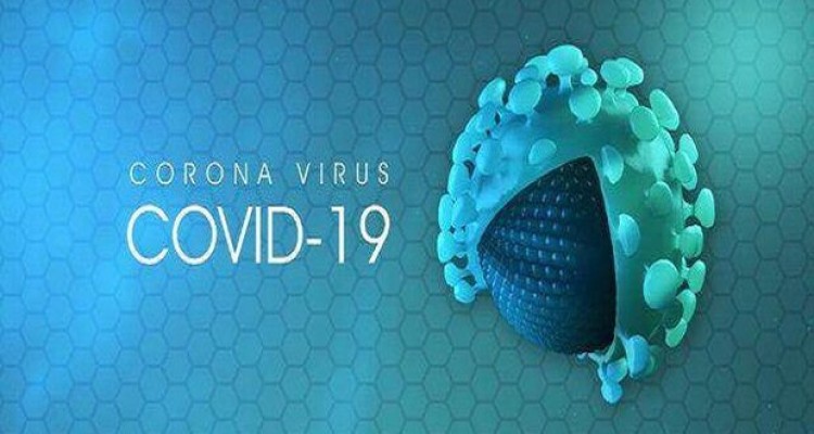 وجود رابطه بین مرگ های کووید ۱۹ و چاقی