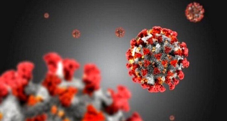 تولید آنتی بادی کرونا با کشت سلولی در روسیه