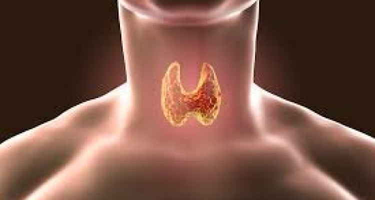 ارتباط تیروئید با بیماری‌های قلبی عروقی
