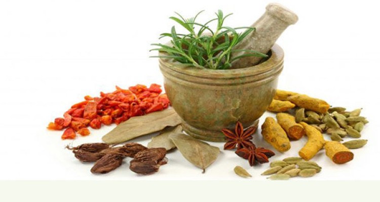 تغذیه پاییزی را بشناسیم/ پرهیز از خوراکی های خشکاننده بدن