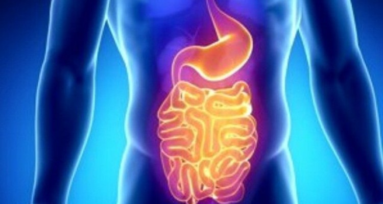  برخی عواملِ موثر بر خطر ابتلاء به سرطان روده