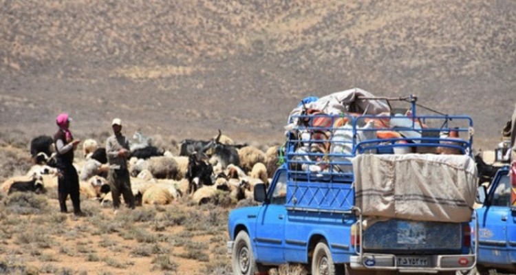 عشایر در کرونا بیشترین آسیب مالی را دیدند/ لزوم جایگزینی کوچ ماشینی به جای سنتی