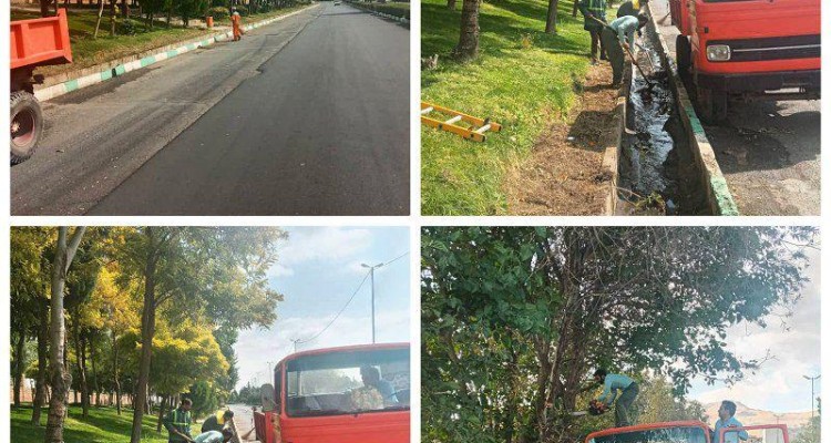 هرس پاییزی درختان در سطح شهر صحنه در حال انجام است + تصویر