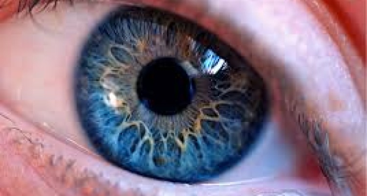 افراد بالای ۴۰ سال بیشتر مراقب چشمان خود باشند
