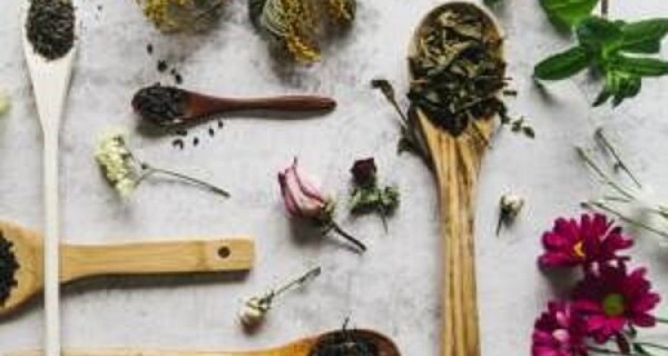 مصرف گیاهان دارویی هم با مشورت پزشک باشد