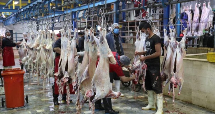 کاهش قیمت گوشت قرمز در بازار کرمانشاه