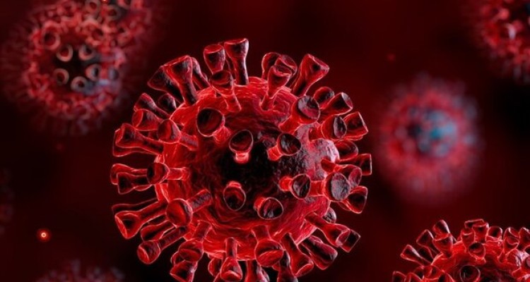 انتقال کووید ۱۹ در سه ماهه سوم بارداری به نوزاد غیر محتمل است