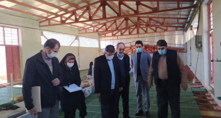 فرماندار صحنه از مجتمع  ۱۰۰۰ راسی پروار بندی دام سبک صحنه بازدید کرد + عکس