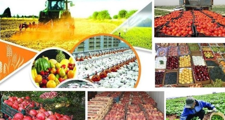 لجستیک؛ پاشنه آشیل صادرات محصولات کشاورزی به اوراسیا