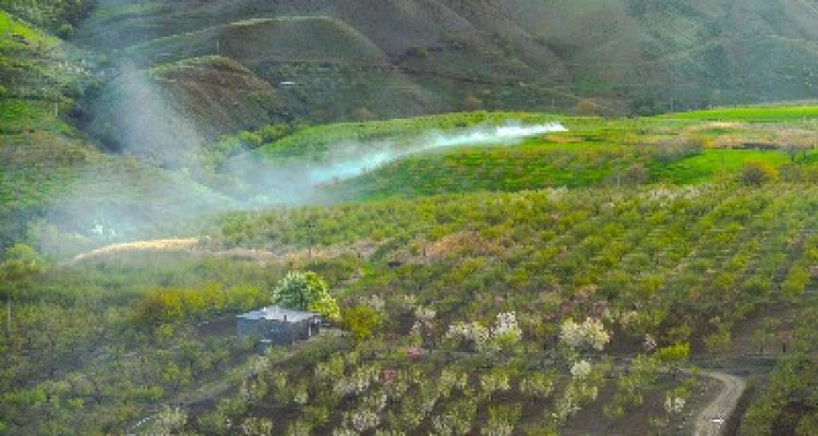 بهار در بخش دینور