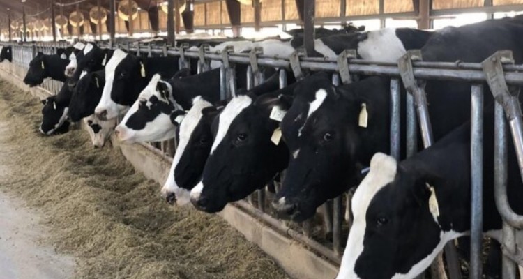 هیچ‌چیز گیر نمی‌آید!