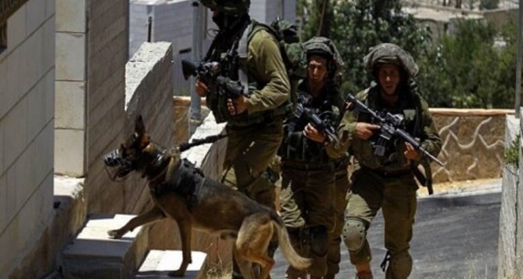 یورش صهیونیست‌ها به کرانه باختری/ بازداشت شماری از فلسطینیان