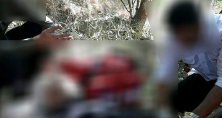 برداشت مرگبار محصول در صحنه/ گردوتکانی باغدار میانسالی را کُشت