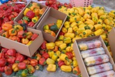 ضررصیفی کاران از ممنوعیت صادرات فلفل‌ به روسیه/دیپلماسی غذایی به کجا رسید؟