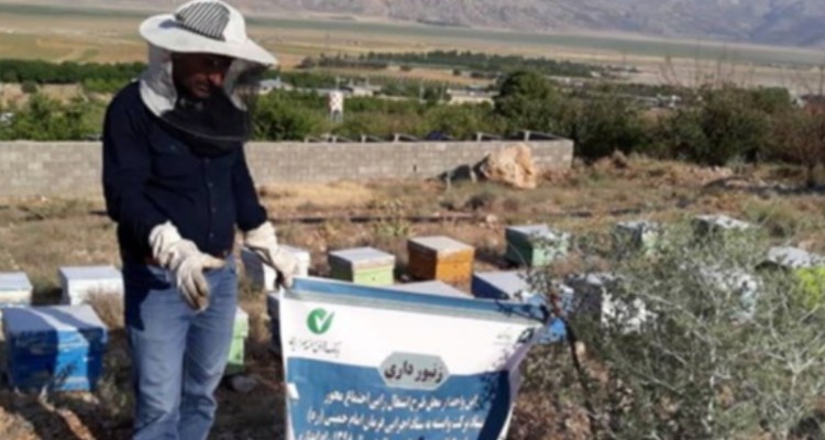 بازگشت ۶۲۵۰ خانواده به روستا با کمک بنیاد«برکت»