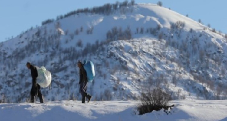 کولبر کردستان توسط بنیاد برکت مشغول به‌ کار شدند