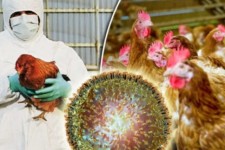 اقدامات پیشگیری از آنفولانزا را جدی بگیرید