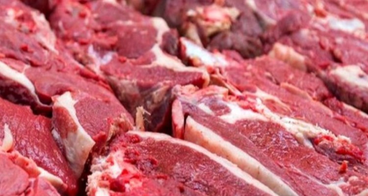 حذف ارز ترجیحی گوشت قرمز شایعه است/ ادامه روند منظم تامین ارز و کالاهای اساسی