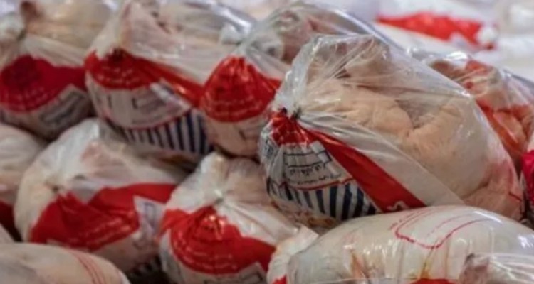 روزانه ۱۲۰ تن مرغ در کرمانشاه توزیع می‌شود