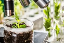 همایش بذر کرمانشاه نقطه عطفی در کشاورزی