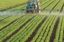 سند اراضی با کاربری کشاورزی صادر می‌شود