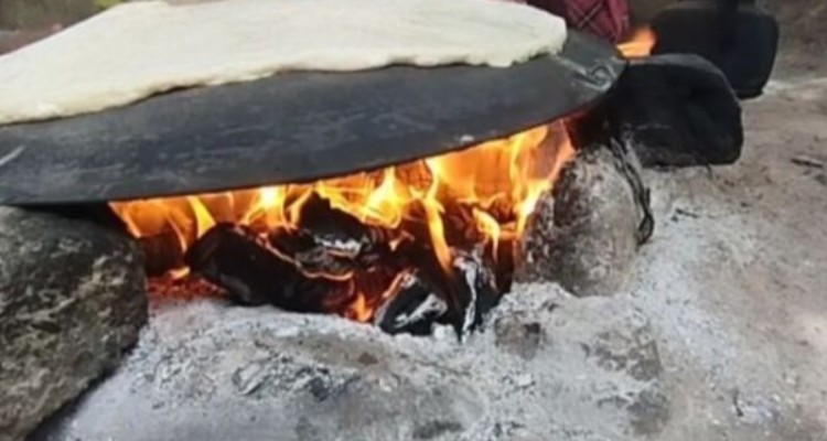 ساج؛ میراثی در معرض فراموشی