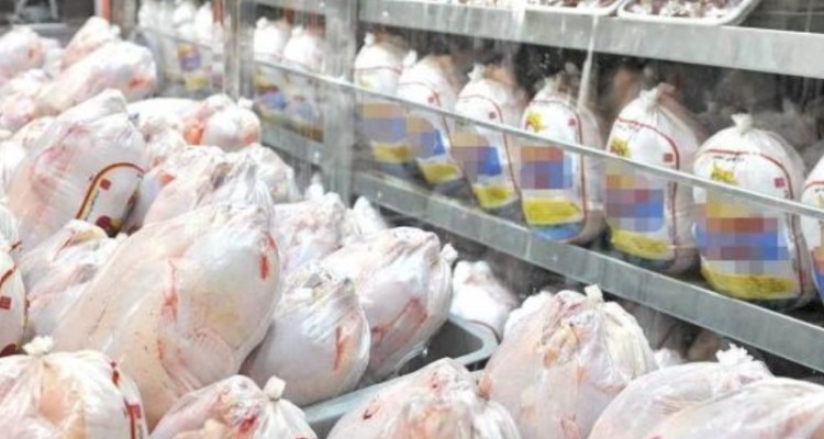 تولیدات پروتئینی کیفی است