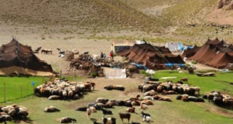 عشایر سربازان گمنام اقتصادی هستند