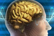 سالانه ۳ هزار کرمانشاهی دچار سکته مغزی می‌شوند