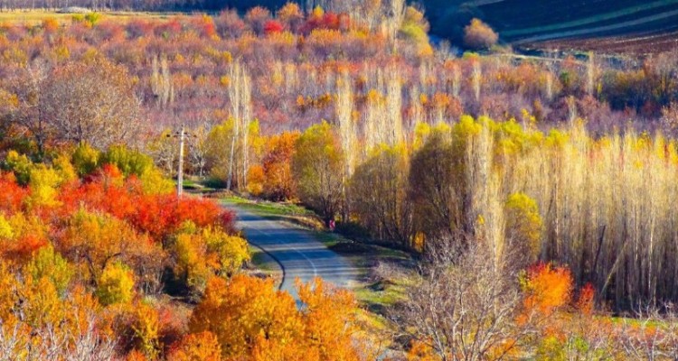 انفجار رنگ ها در خزان برگ ها /پاییز در منطقه زیبای دینور