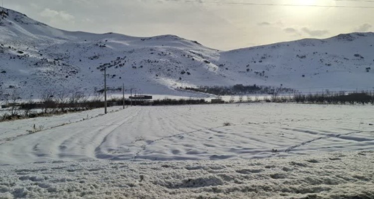 طبیعت برفی زیبای شهرستان صحنه