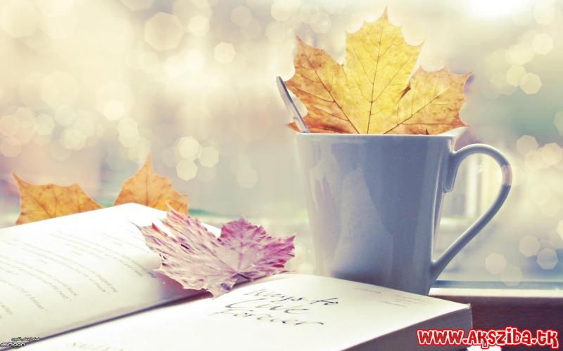 نوشتن دفتر خاطرات به این افراد کمک می کند نوشتن دفتر خاطرات به این افراد کمک می کند