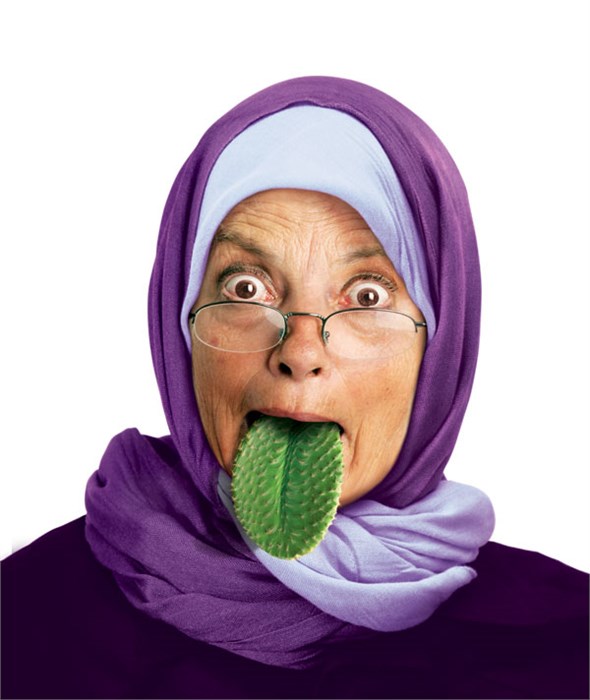  نکات طلایی برای روابط عروس و خواهر شوهر 