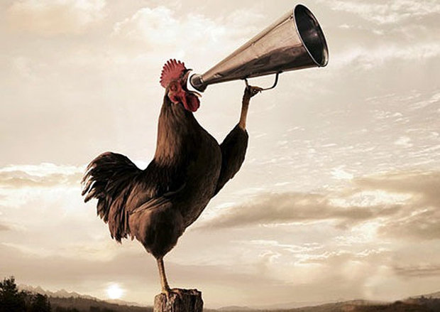  فواید سحر خیزی و روش هایی برای سحرخیز بودن 