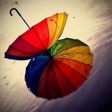 	ملاک های عددی ما 