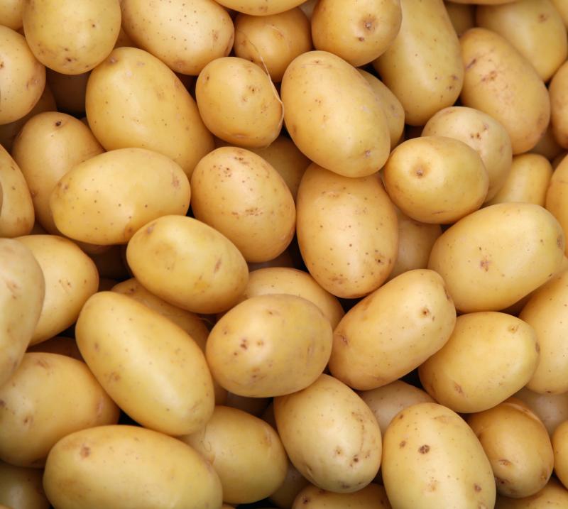 خوردن مداوم سیب زمینی موجب فشارخون می شود