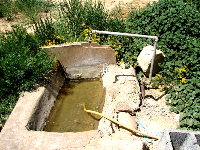 روستایی میر عزیزی شهرستان صحنه در فصل گرم سال از آب آشامیدنی سالم بی بهره است روستایی میر عزیزی شهرستان صحنه در فصل گرم سال از آب آشامیدنی سالم بی بهره است