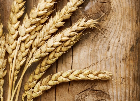 کاهش خطر مرگ زودهنگام با خوردن غلات کامل