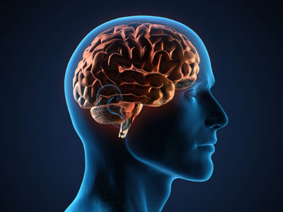 بعد از یادگیری مطالب جدید ورزش کنید