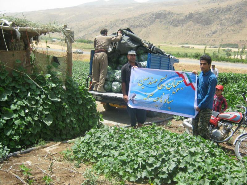 مهندسان بسیجی شهرستان صحنه از مزارع کشاورزی بخش دینور بازدید کردند   + تصویر