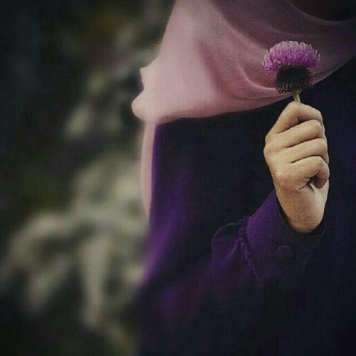 	حس آخرین روز زندگی 
