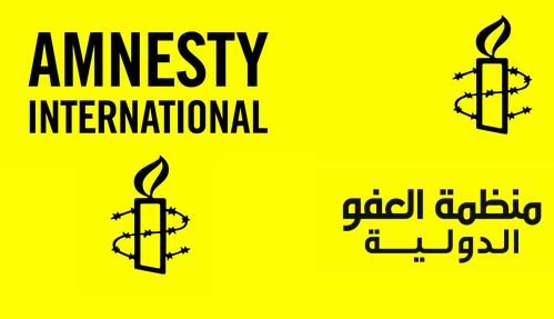 درخواست عفو بین الملل از ترکیه در خصوص عوامل کودتا