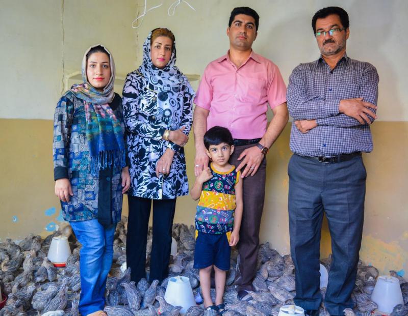 	راه اندازی کسب و کار خانگی پردرآمد در صحنه/ خانواده ای که اولین پرورش دهنده بلدرچین شدند 