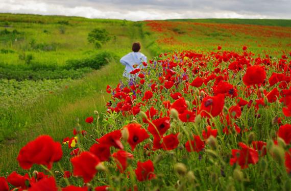 	برای غصه ها پایانی نیست 