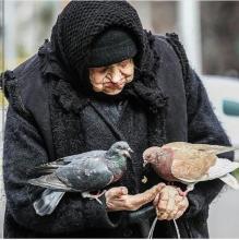 	کوچ پرنده ها را دوست ندارم 