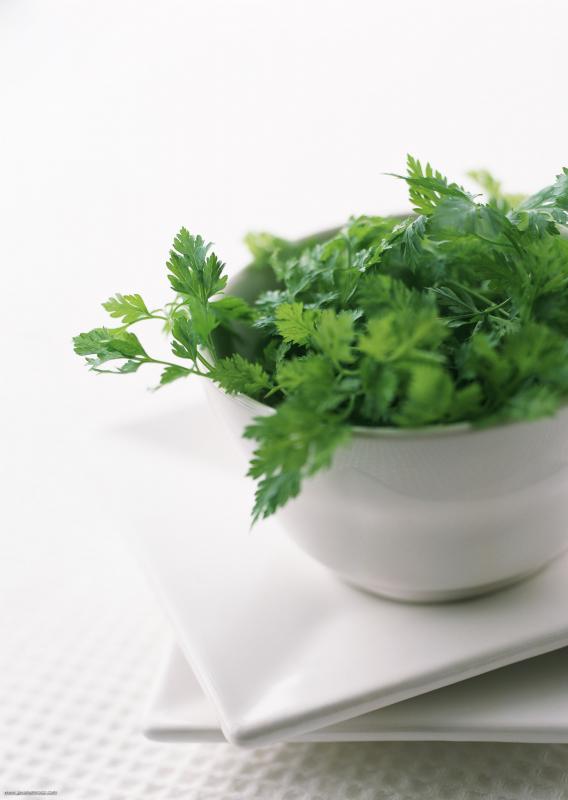  به این دلایل سبزی خوردن را فراموش نکنید