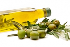 	آموزش نقش مهمی در موفقیت کارآفرینان جوان دارد/ برگزاری کلاسهای توجیهی و آموزشی تولید و فرآوری زیتون 